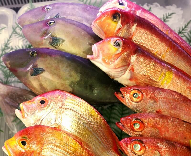 市場ならではの鮮度感と豊富な魚種!!